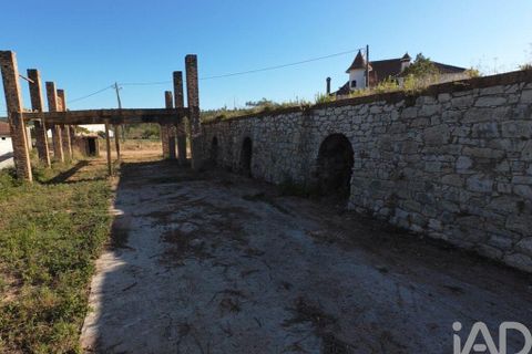 Helårsgrund i Leiria, Leiria, Leiria - € 150.000 | Ref: 949839 - foto 25