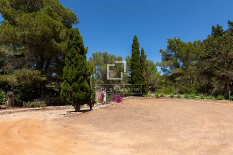 Landejendom i Roca Llisa, Ibiza, Roca Llisa - € 4.995.000 | Ref: IBZ70563 - foto 3