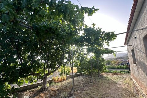 Cortijo i Somontin, Almeria, Somontin - € 75.000 | Ref: 15135/12462 - foto 7