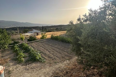 Cortijo i Somontin, Almeria, Somontin - € 75.000 | Ref: 15135/12462 - foto 11