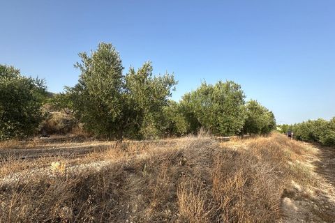 Cortijo i Somontin, Almeria, Somontin - € 75.000 | Ref: 15135/12462 - foto 13