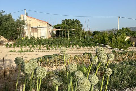 Cortijo i Somontin, Almeria, Somontin - € 75.000 | Ref: 15135/12462 - foto 14