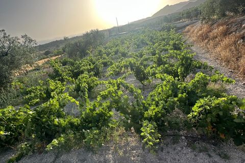 Cortijo i Somontin, Almeria, Somontin - € 75.000 | Ref: 15135/12462 - foto 15