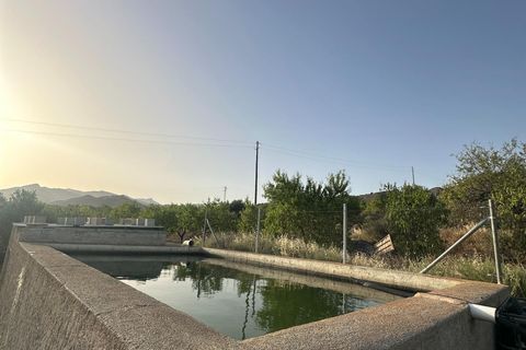 Cortijo i Somontin, Almeria, Somontin - € 75.000 | Ref: 15135/12462 - foto 17