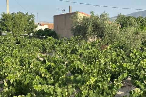 Cortijo i Somontin, Almeria, Somontin - € 75.000 | Ref: 15135/12462 - foto 19