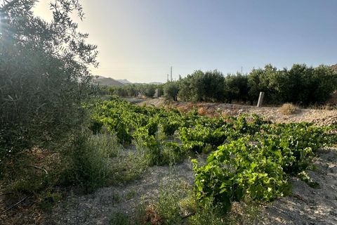 Cortijo i Somontin, Almeria, Somontin - € 75.000 | Ref: 15135/12462 - foto 22