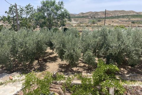 Villa i Antas, Almeria, Antas - € 450.000 | Ref: API-A0104 - foto 29