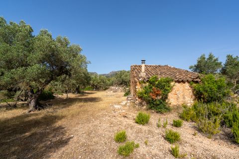 Finca i Rasquera, Tarragona, Rasquera - € 24.000 | Ref: 371 - foto 9