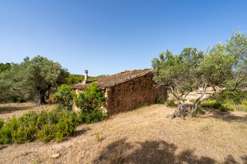 Finca i Rasquera, Tarragona, Rasquera - € 24.000 | Ref: 371 - foto 10