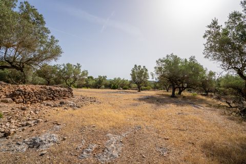 Finca i Rasquera, Tarragona, Rasquera - € 24.000 | Ref: 371 - foto 18