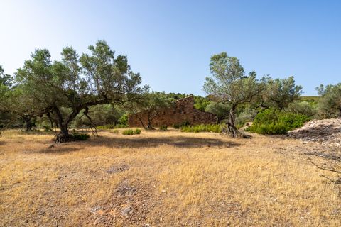Finca i Rasquera, Tarragona, Rasquera - € 24.000 | Ref: 371 - foto 12