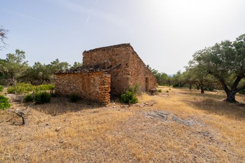 Finca i Rasquera, Tarragona, Rasquera - € 24.000 | Ref: 371 - foto 2