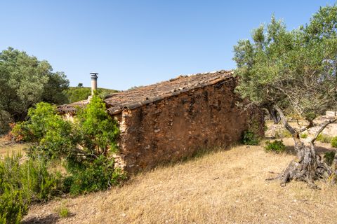 Finca i Rasquera, Tarragona, Rasquera - € 24.000 | Ref: 371 - foto 17