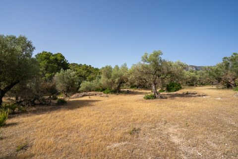 Finca i Rasquera, Tarragona, Rasquera - € 24.000 | Ref: 371 - foto 19