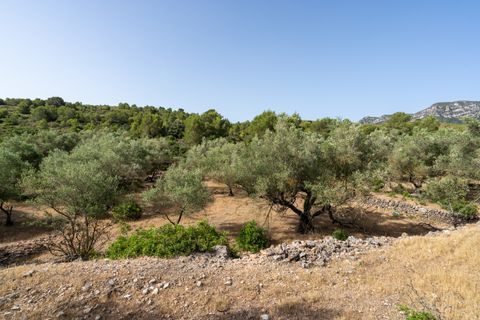 Finca i Rasquera, Tarragona, Rasquera - € 24.000 | Ref: 371 - foto 14