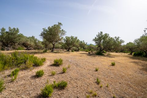 Finca i Rasquera, Tarragona, Rasquera - € 24.000 | Ref: 371 - foto 20