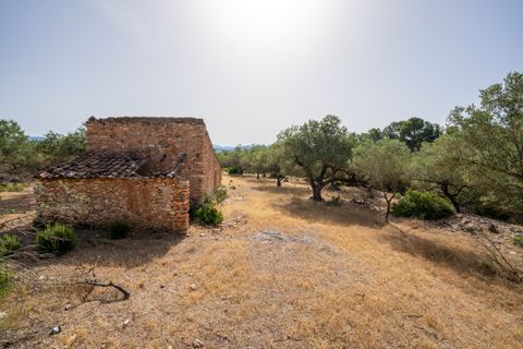 Finca i Rasquera, Tarragona, Rasquera - € 24.000 | Ref: 371 - foto 11