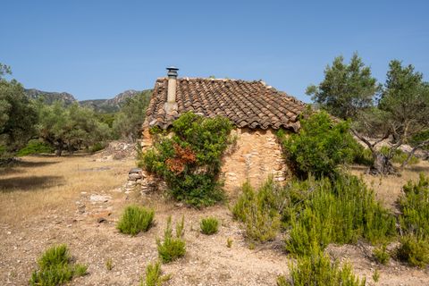 Finca i Rasquera, Tarragona, Rasquera - € 24.000 | Ref: 371 - foto 15