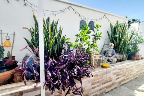 Byhus i La Zenia, Alicante, La Zenia - € 295.000 | Ref: P9201 - foto 9