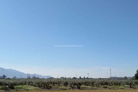 Byhus i Catral, Alicante, Catral - € 149.500 | Ref: DV-24572 - foto 29