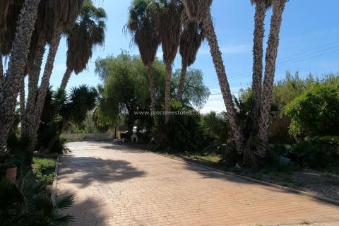 Villa a Dolores, Alicante, Dolores - € 375.000 | Ref: OR-89055 - foto 40
