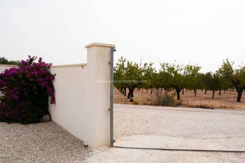Landejendom i Macisvenda, Murcia, Macisvenda - € 357.000 | Ref: SU-92591 - foto 47