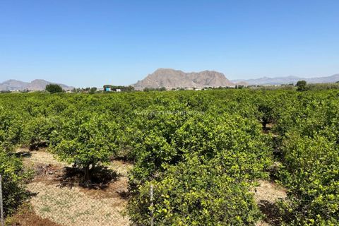 Byhus i Benejuzar, Alicante, Benejuzar - € 140.000 | Ref: WI-20053 - foto 21