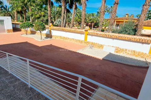 Herregård i Catral, Alicante, Catral - € 440 000 | Ref: PCE-1459 - foto 17
