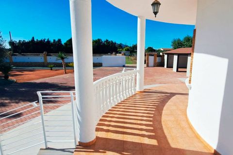 Herregård i Catral, Alicante, Catral - € 415 000 | Ref: PCE-1460 - foto 11