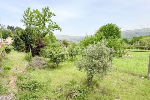 Villa i Fafe, Braga, Fafe - € 250.000 | Ref: ZMPT590253 - foto 45