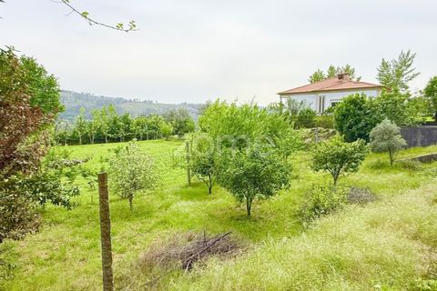 Villa i Fafe, Braga, Fafe - € 250.000 | Ref: ZMPT590253 - foto 46