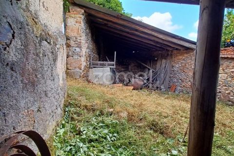 Farm i Arganil, Coimbra, Arganil - € 39.900 | Ref: ZMPT557238 - foto 10