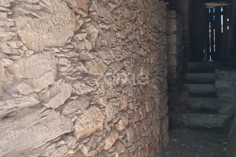 Farm i Arganil, Coimbra, Arganil - € 39.900 | Ref: ZMPT557238 - foto 13