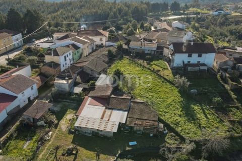 Farm i Arganil, Coimbra, Arganil - € 39.900 | Ref: ZMPT557238 - foto 15