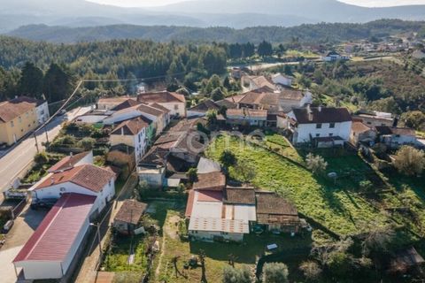 Farm i Arganil, Coimbra, Arganil - € 39.900 | Ref: ZMPT557238 - foto 16