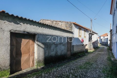 Farm i Arganil, Coimbra, Arganil - € 39.900 | Ref: ZMPT557238 - foto 24