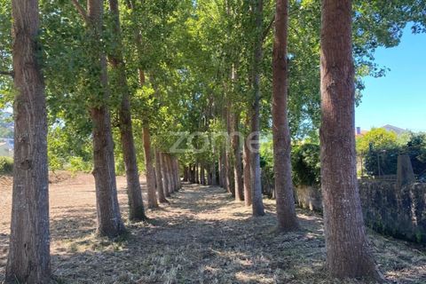 Helårsgrund i Esposende, Braga, Esposende - € 338.000 | Ref: ZMPT590232 - foto 2