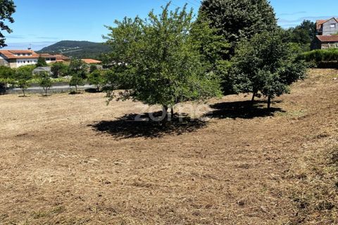Helårsgrund i Esposende, Braga, Esposende - € 338.000 | Ref: ZMPT590232 - foto 1
