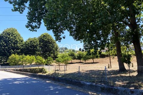 Helårsgrund i Esposende, Braga, Esposende - € 338.000 | Ref: ZMPT590232 - foto 3