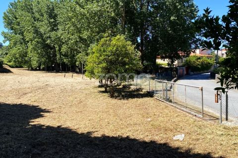 Helårsgrund i Esposende, Braga, Esposende - € 338.000 | Ref: ZMPT590232 - foto 5