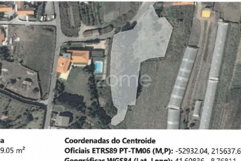 Helårsgrund i Esposende, Braga, Esposende - € 338.000 | Ref: ZMPT590232 - foto 14