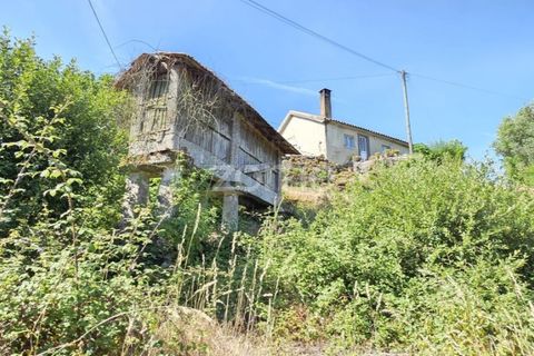 Haus in Serzedelo, Braga, Serzedelo - € 95.000 | Ref: ZMPT590131 - Foto 15