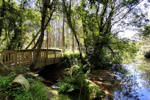 Helårsgrund i Esposende, Braga, Esposende - € 428.000 | Ref: ZMPT590215 - foto 2