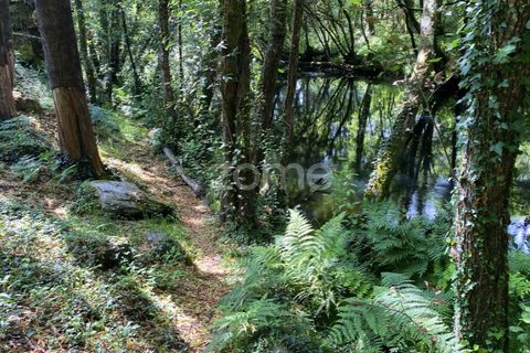 Helårsgrund i Esposende, Braga, Esposende - € 428.000 | Ref: ZMPT590215 - foto 3