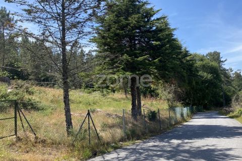 Helårsgrund i Esposende, Braga, Esposende - € 428.000 | Ref: ZMPT590215 - foto 4