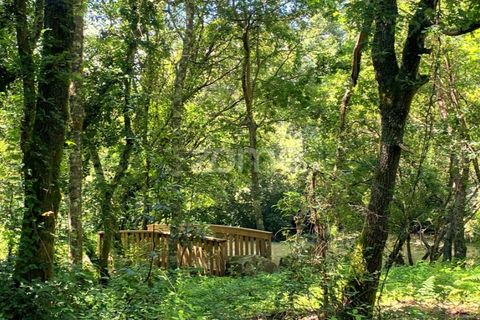 Helårsgrund i Esposende, Braga, Esposende - € 428.000 | Ref: ZMPT590215 - foto 5
