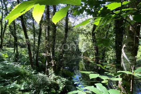 Helårsgrund i Esposende, Braga, Esposende - € 428.000 | Ref: ZMPT590215 - foto 7