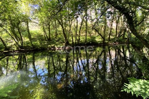 Helårsgrund i Esposende, Braga, Esposende - € 428.000 | Ref: ZMPT590215 - foto 8