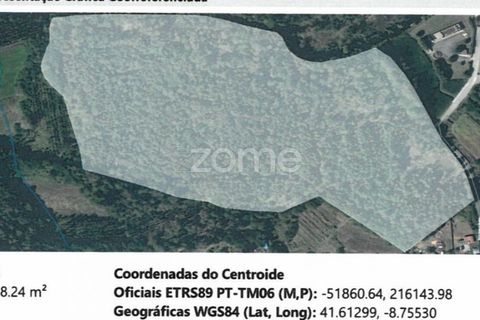 Helårsgrund i Esposende, Braga, Esposende - € 428.000 | Ref: ZMPT590215 - foto 13