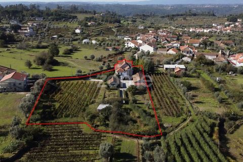 Farm i Viseu, Viseu, Viseu - € 430.000 | Ref: ZMPT564851 - foto 3